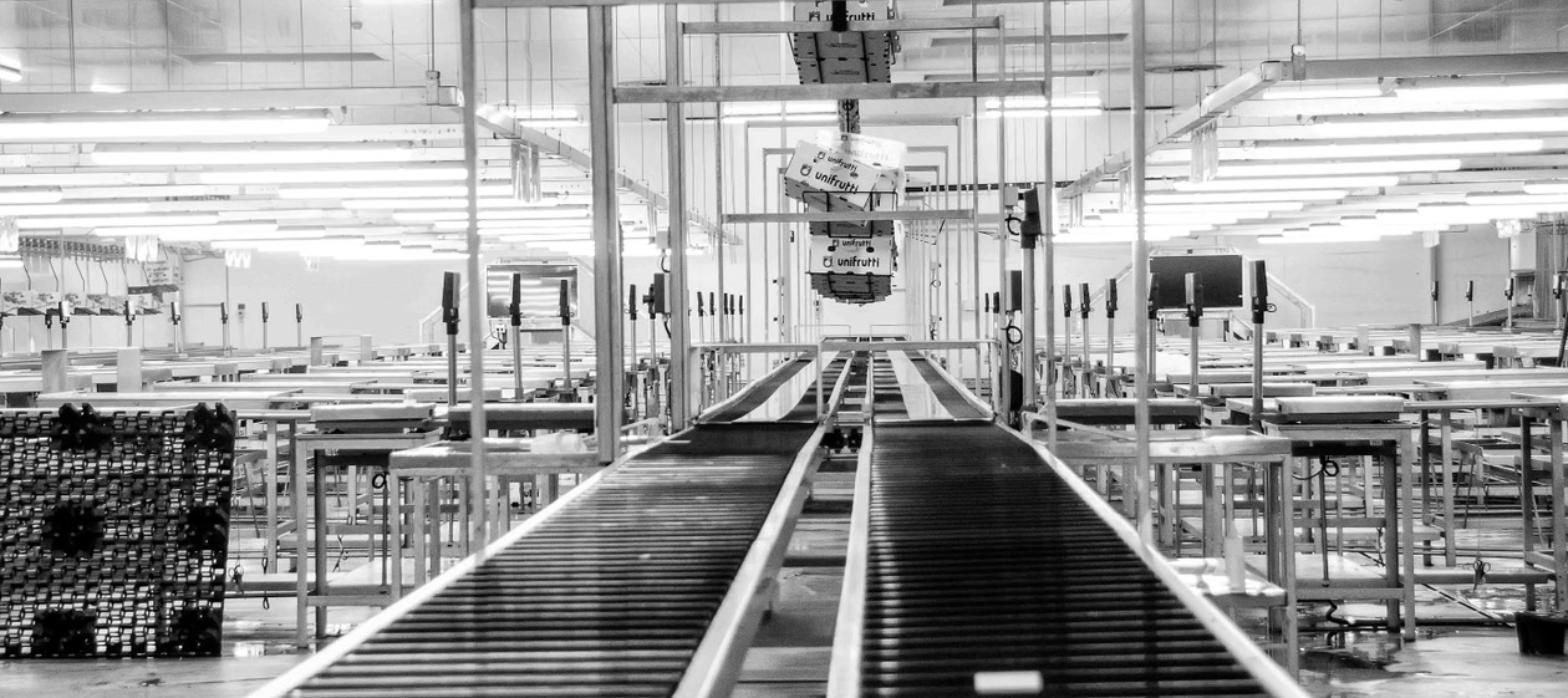 Automatizacion de fin de linea: cuando conviene y como calcular su retorno