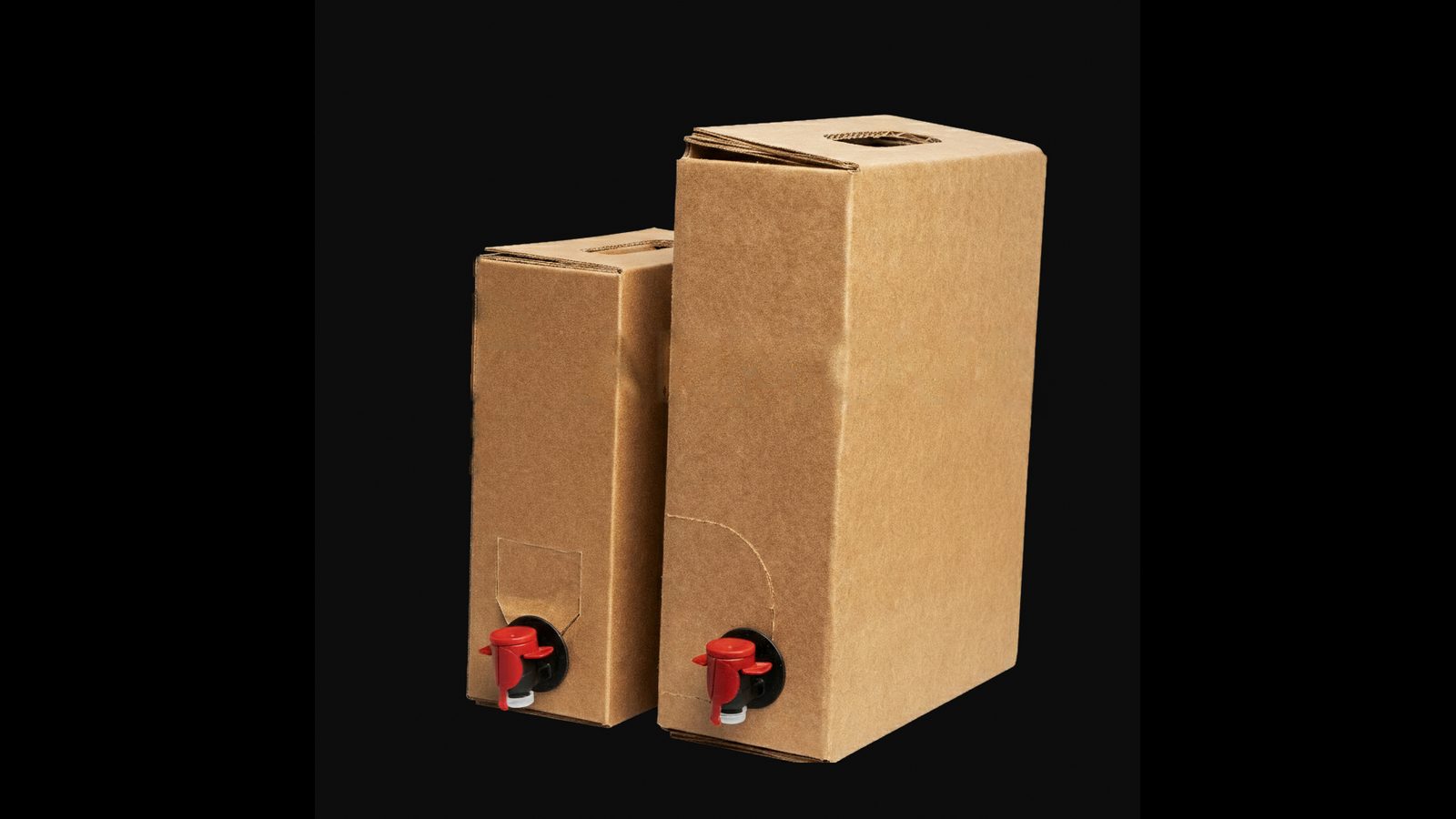Cajas Bag in Box con válvula de grifo